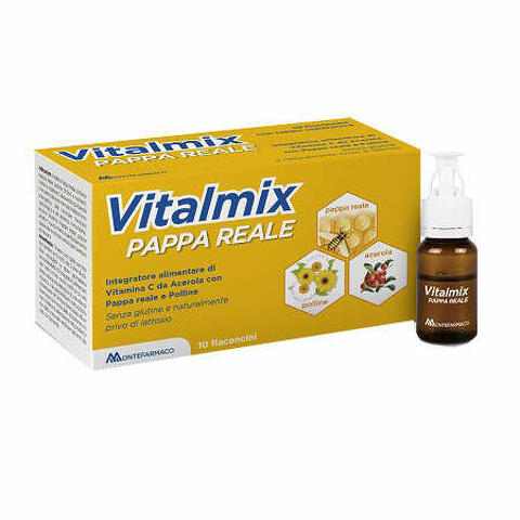 Vitalmix pappa reale 10flaconcini x10 ml s/gl