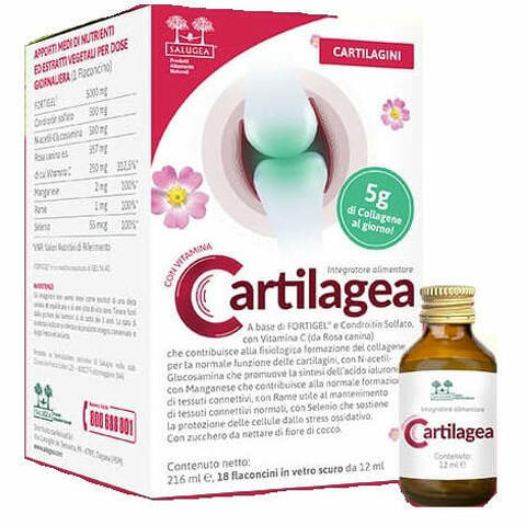 Cartilagea salugea 18 flaconcini da 12 ml