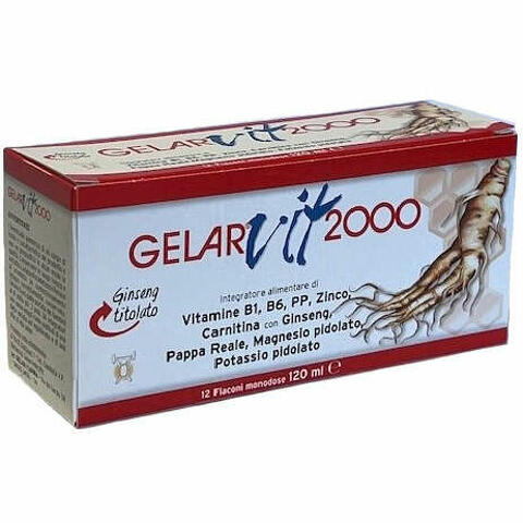 Vit 2000 12 flaconi monodose 10 ml