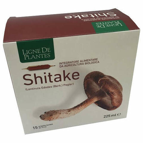 Ligne de plantes shitake bio 15 ampolle da 15ml