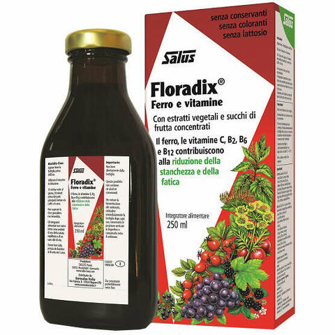 Floradix ferro 250ml