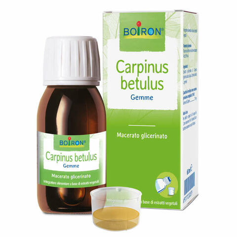 Carpinus betulus macerato glicerico 60ml int