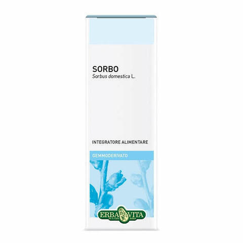 Gemmoderivato sorbo 50ml