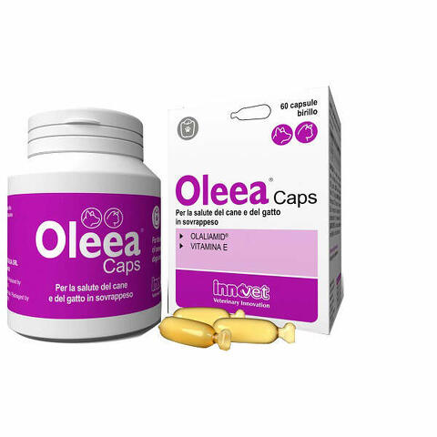 Oleea caps 60 capsule