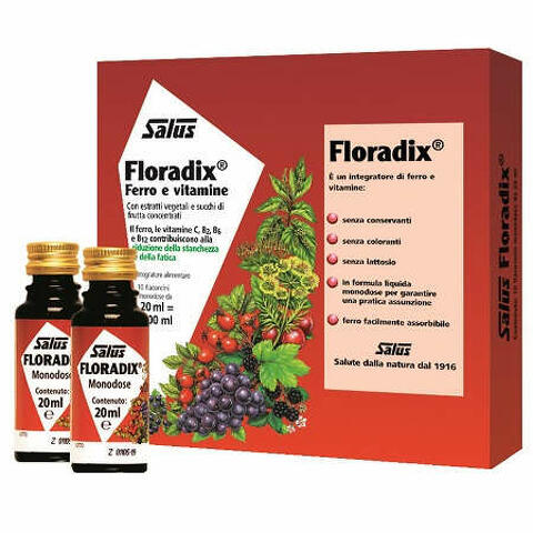 Floradix ferro 10 flaconcini 20 ml