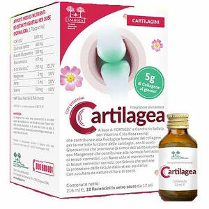 Salugea - Cartilagea salugea 18 flaconcini da 12 ml