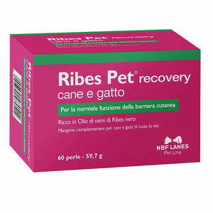 N.b.f. lanes - Ribes pet recovery 60 perle