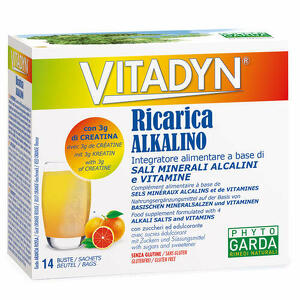 Vitadyn - Vitadyn ricarica 14 bustine 7 g