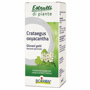 Boiron - Crataegus oxy estratti di piante boiron macerato glicerico 60ml