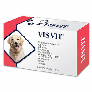 Visvit - Integratore alimentare per patologie osteoarticolari