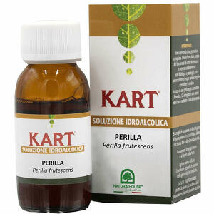 Soluzione idroalcolicaperilla - Kart perilla soluzione idroalcolica 50 ml